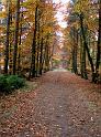 Binning path